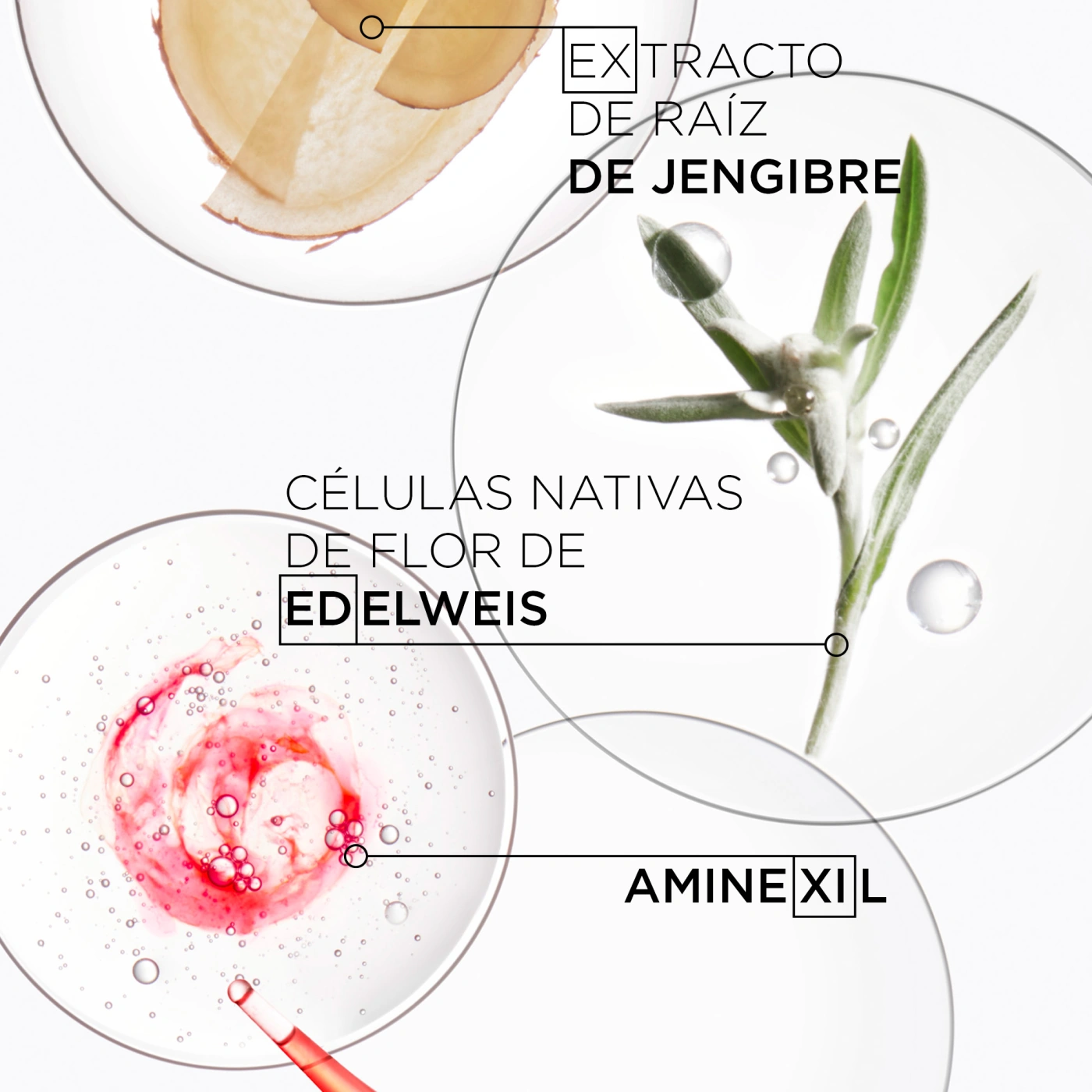 SHAMPOO PARA CABELLO NORMAL A GRASO CON TENDENCIA A LA CAÍDA POR CEPILLADO BAIN HYDRA-FORTIFIANT GENESIS 250ML - 4