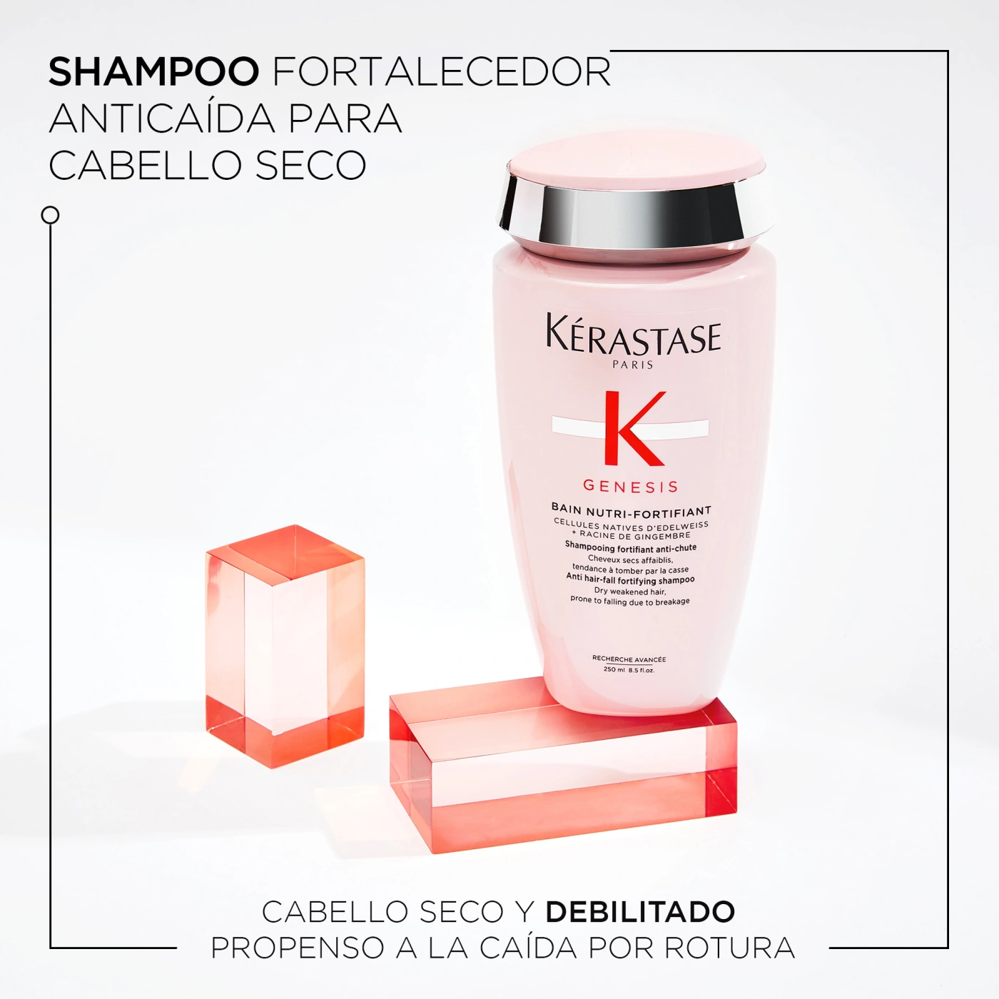 SHAMPOO PARA CABELLO NORMAL A SECO CON TENDENCIA A LA CAÍDA POR CEPILLADO BAIN NUTRI-FORTIFIANT GENESIS 250ML - 3