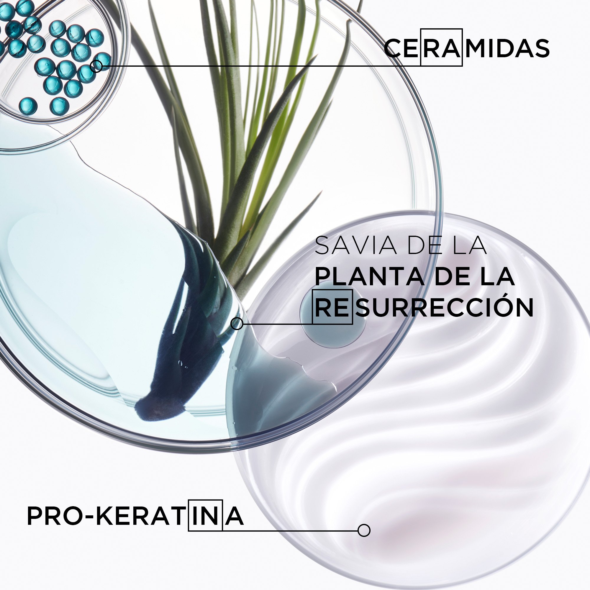 SHAMPOO RECONSTRUCTOR PARA CABELLO DÉBIL BAIN FORCE ARCHITECTE RESISTANCE 250ML - 4