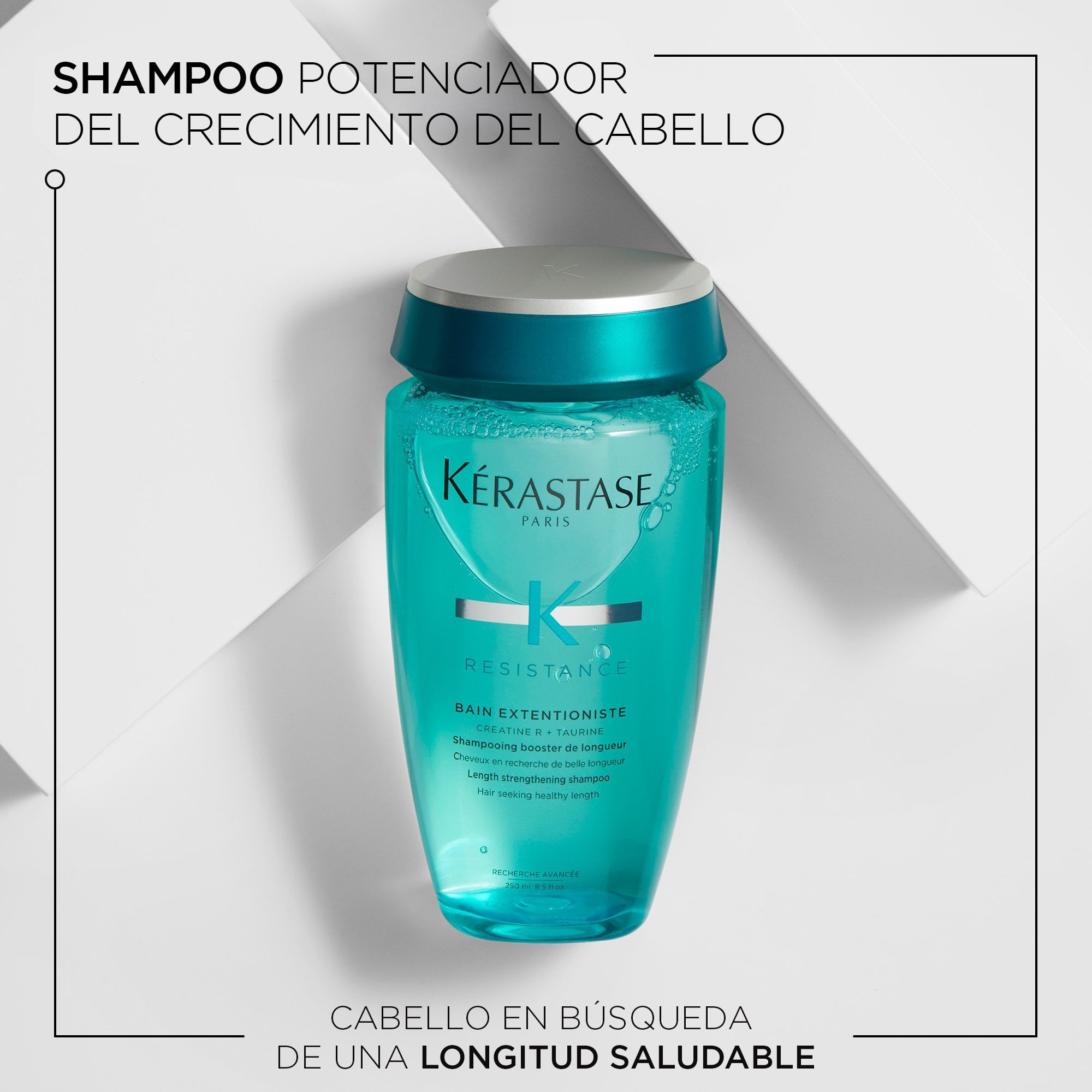 SHAMPOO PARA LARGOS FORTALECIDOS EXTENTIONISTE 250ML - 2
