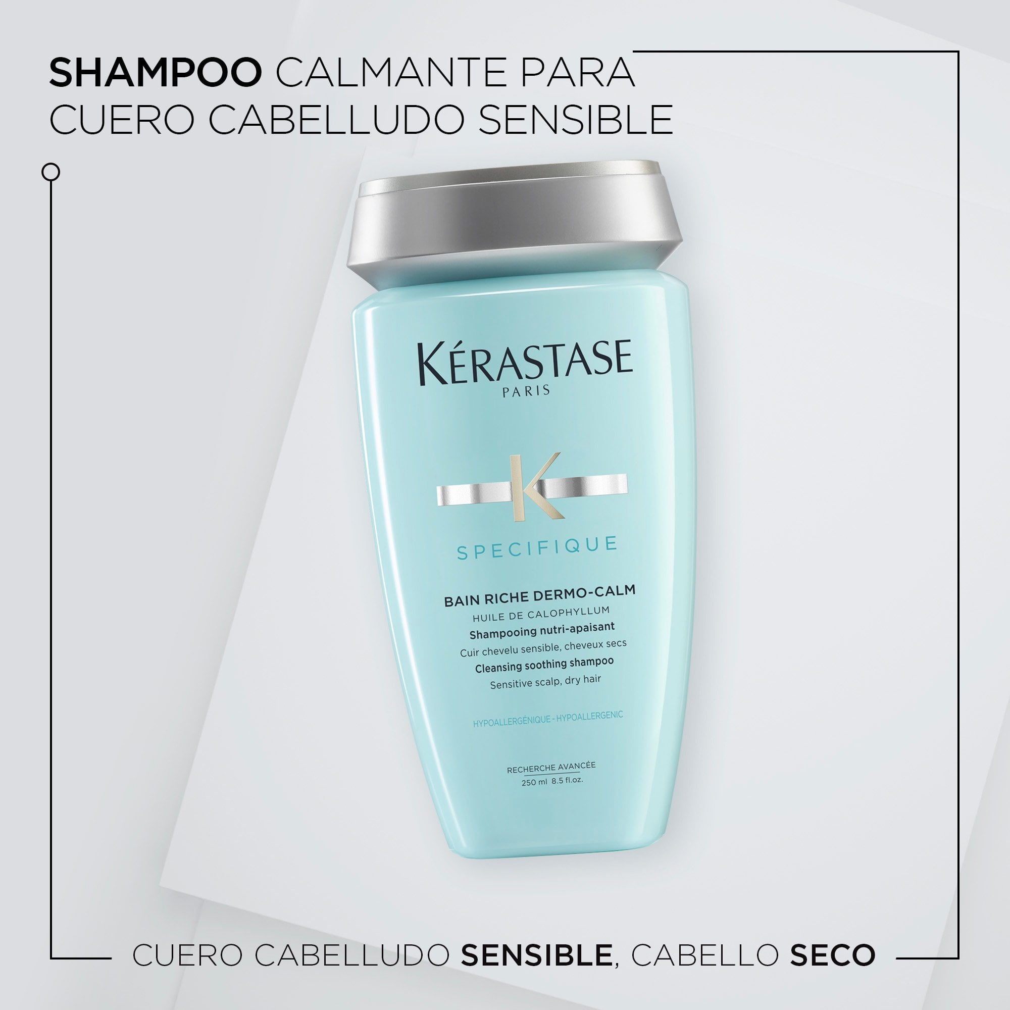 SHAMPOO BAIN RICHE 250ML PARA CUERO CABELLUDO SENSIBLE Y CABELLOS SECOS - 2