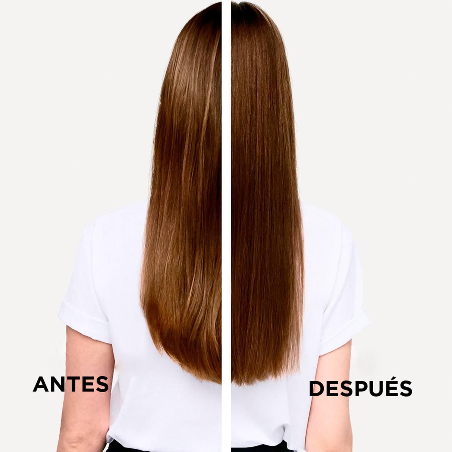 SHAMPOO CORPORIZANTE BAIN DENSITÉ DENSIFIQUE 250ML - 3