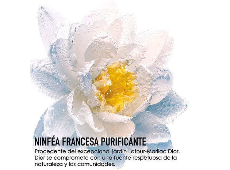 DIOR NYMPHEA LECHE LIMPIADORA 200ML - 4