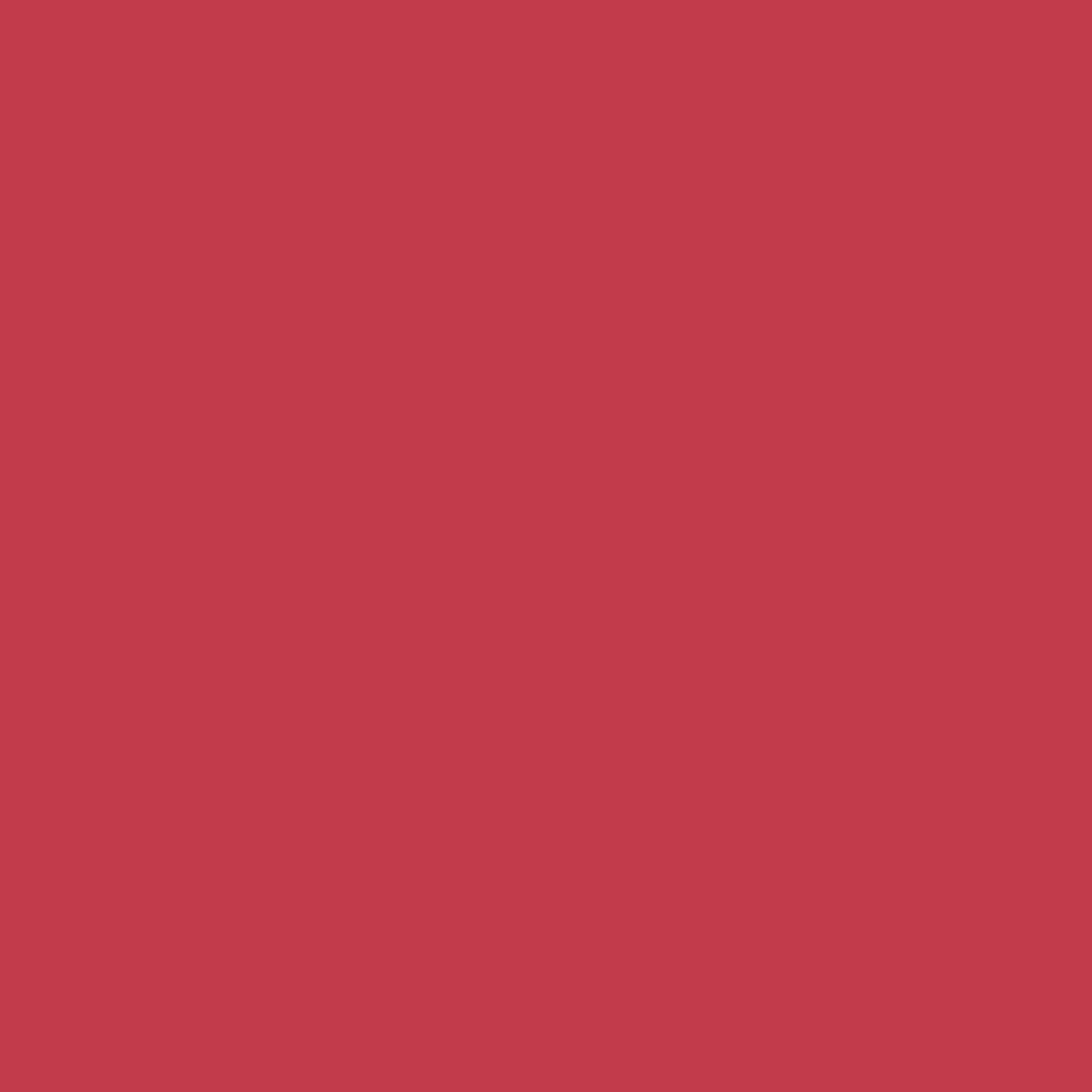 LABIAL ESTEE LAUDER PURE COLOR CREME TONO BOIS DE ROSE - 5