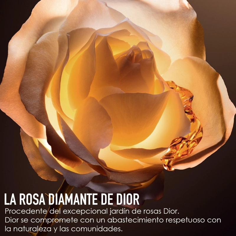 SÉRUM DIOR PRESTIGE LE NECTAR PREMIER Y CUELLO 30 ML - 5