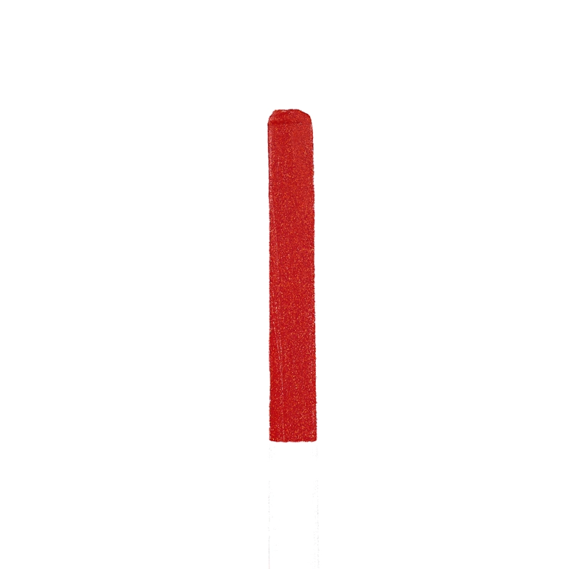 LABIAL LOREAL PARIS Riche Volumen Matte Determination - 4