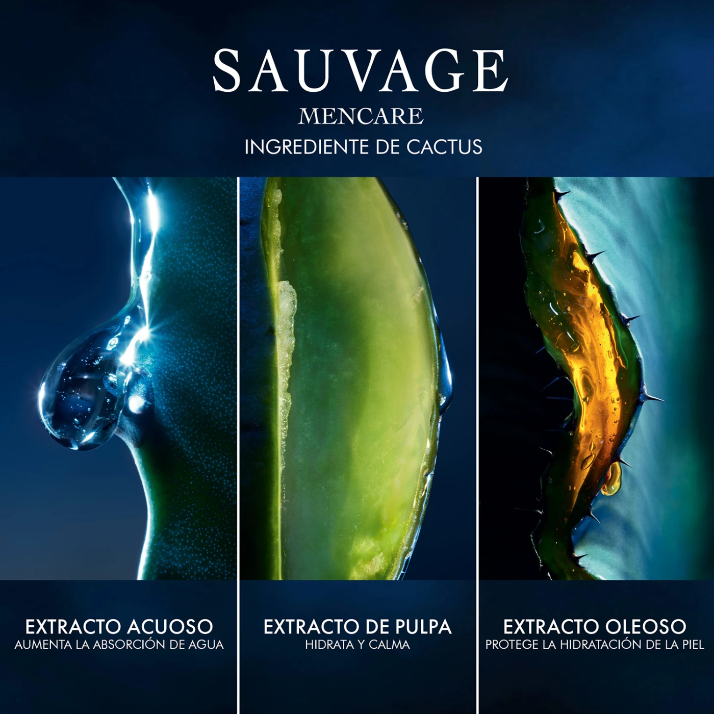 DIOR SAUVAGE SÉRUM 50ML - 5