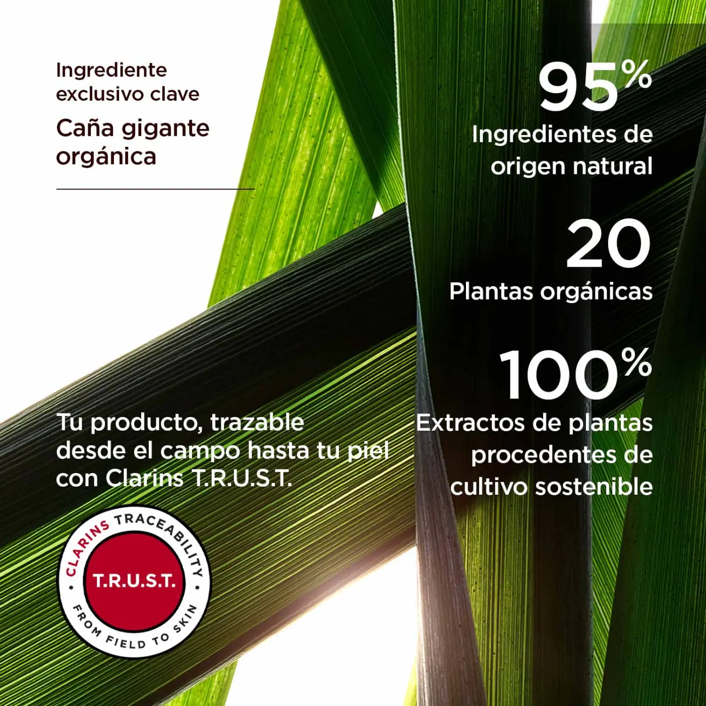 TRATAMIENTO ROSTRO CLARINS DOUBLE SERUM 50ML - 8