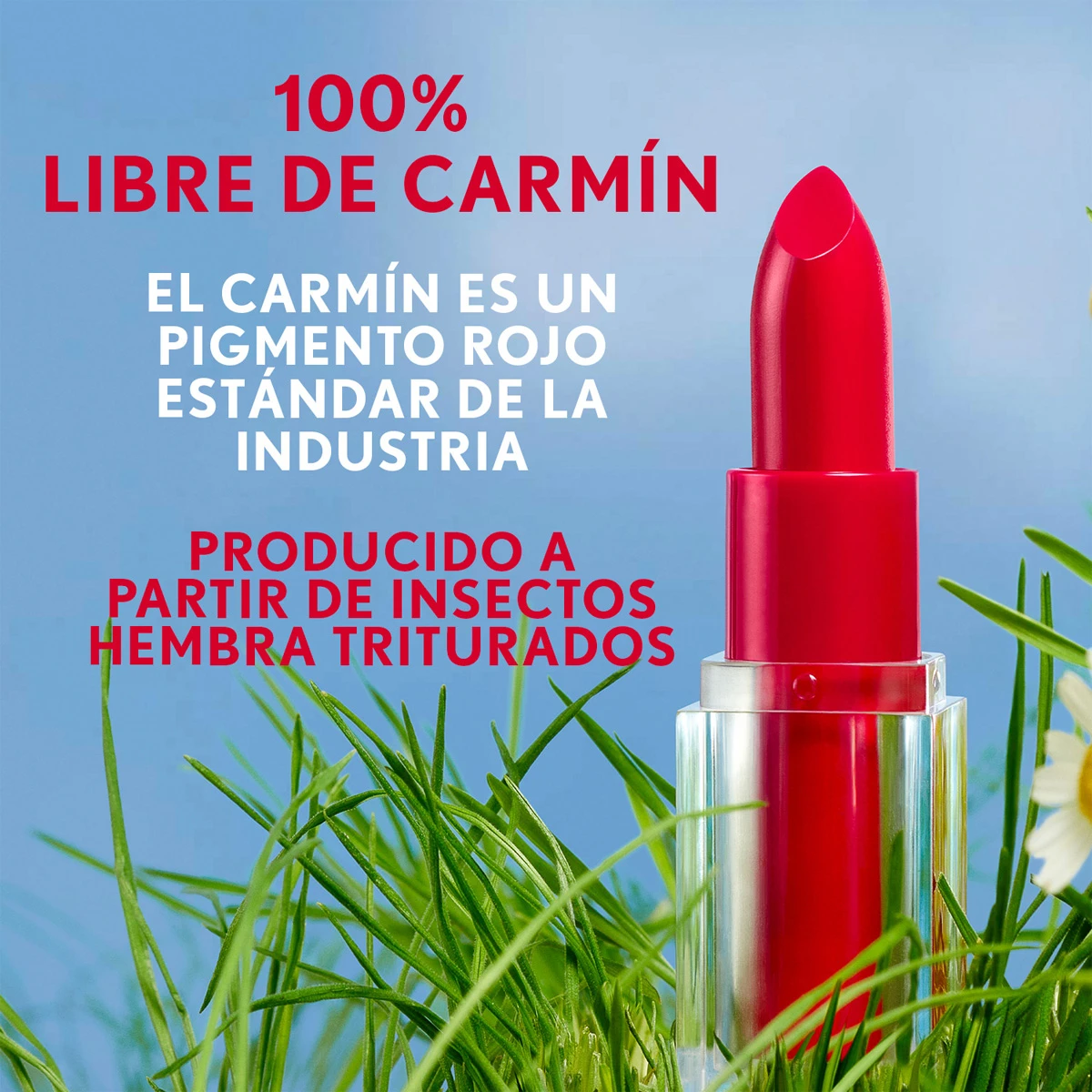 LABIAL COVERGIRL CLEAN LIP COLOR - 9