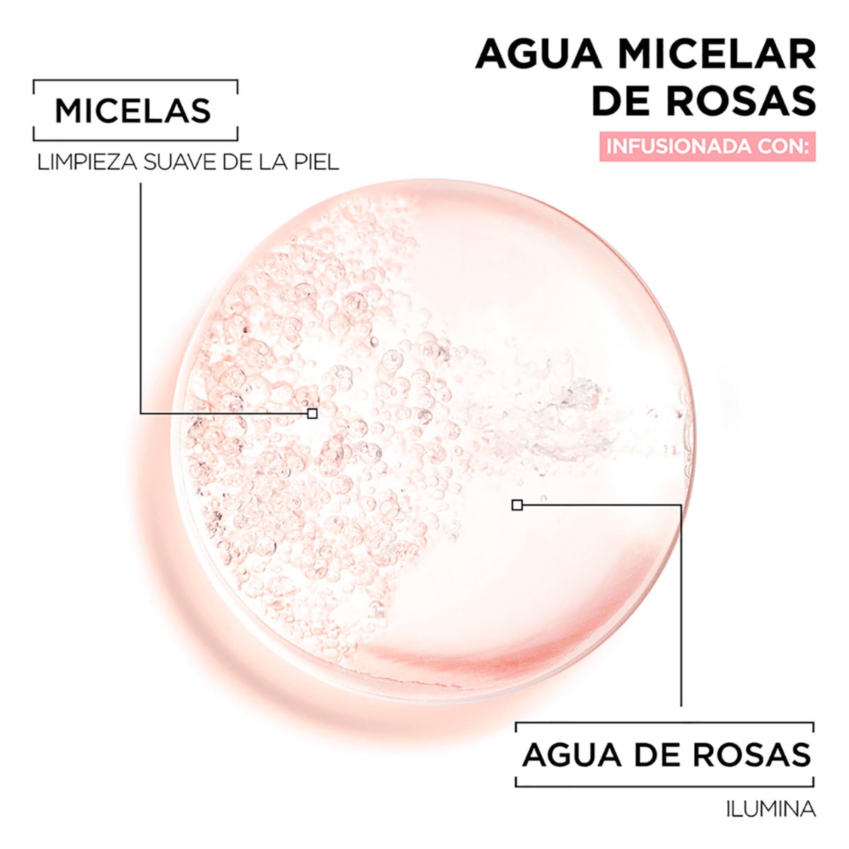 AGUA MICELAR GARNIER ROSAS 400 ML - 2