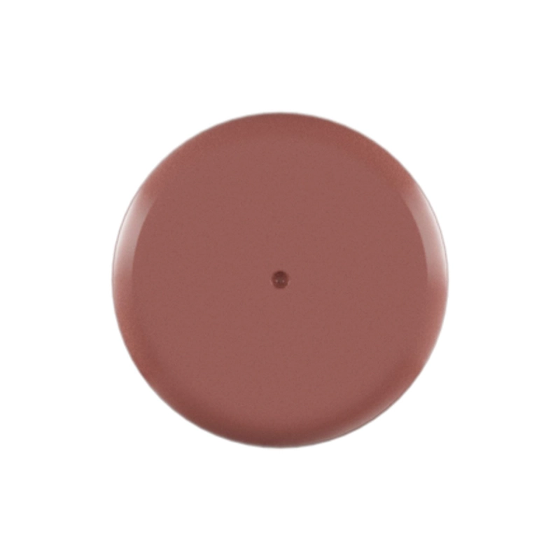 DELINEADOR DE LABIOS MAYBELLINE LIFTER LINER 05 ON IT - 5