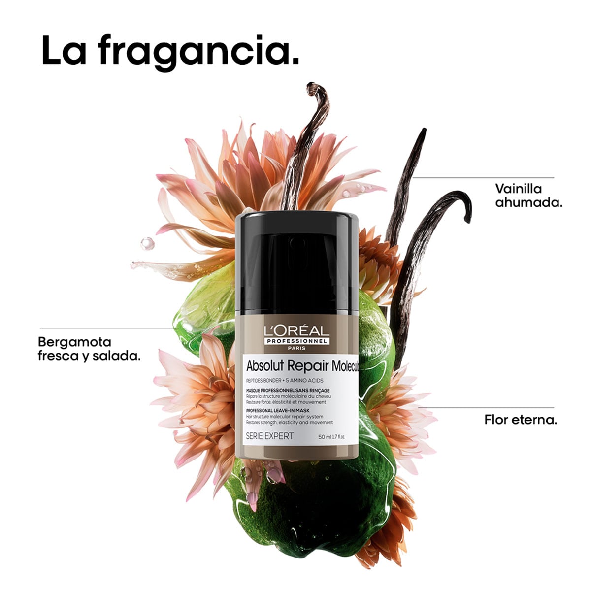 MASCARILLA SIN ENJUAGUE LOREAL PROFESSIONNEL ABSOLUT REPAIR MOLECULAR 50 ML - 5