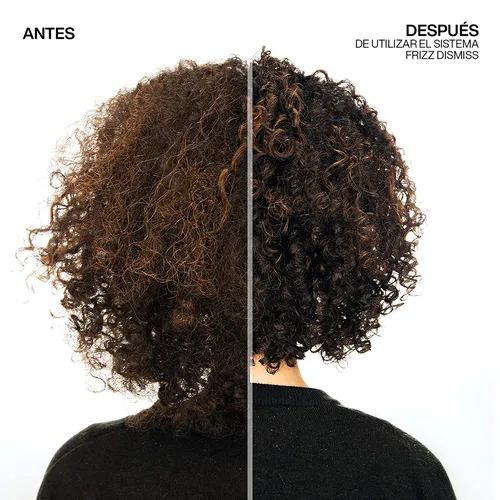 ACONDICIONADOR REDKEN FRIZZ DISMISS 300ML - 4