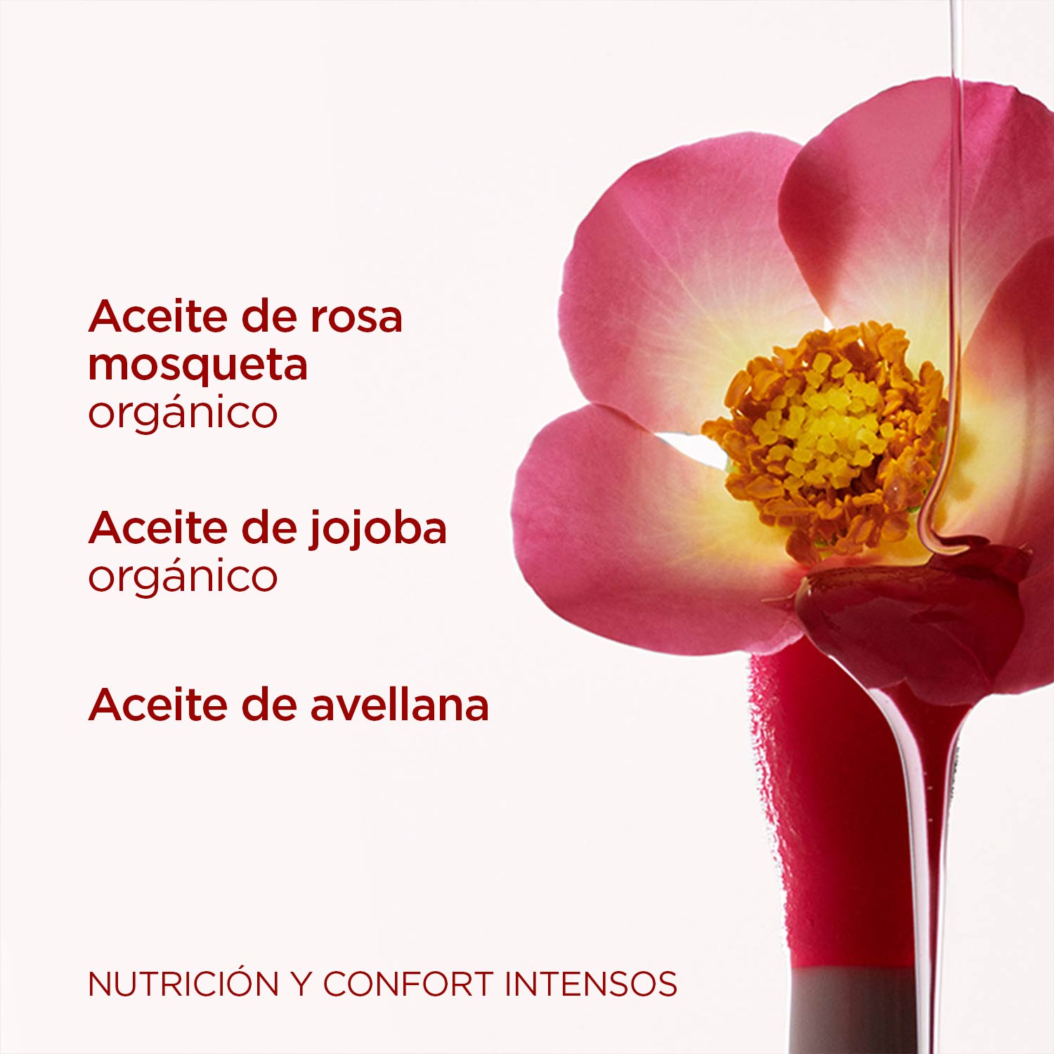 LABIAL CLARINS LIP OIL COMFORT OIL - CANYON KISS COLLECTION 28 ROSY GRACE - 6