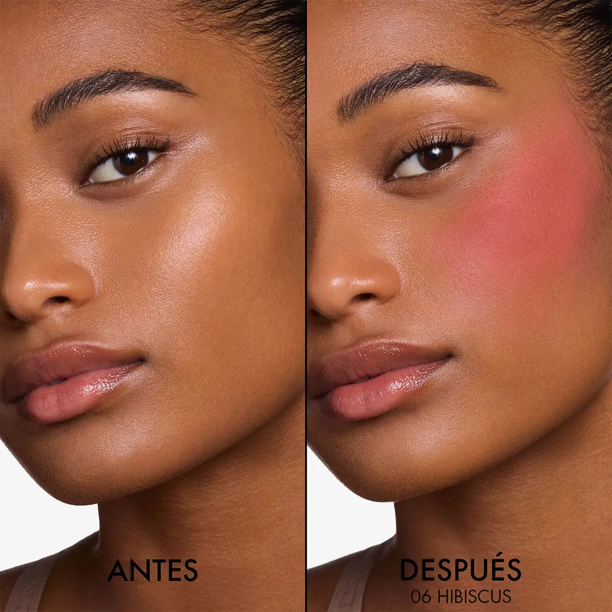 DIOR FOREVER BLUSH SOFT FILTER 06 HIBISCUS - 4