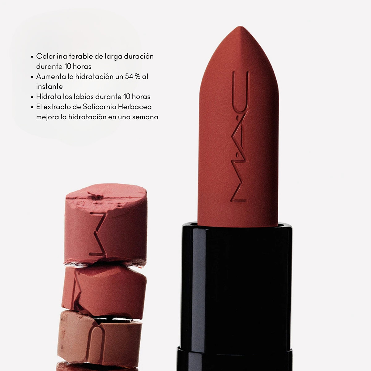 LABIAL MAC POWDER KISS HAZY MATTE CHESTNUT - 4