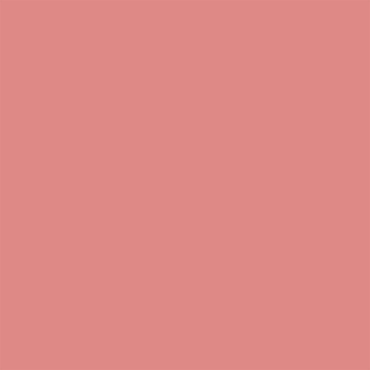 LABIAL EN BARRA DIOR ON STAGE ROUGE SHINE 120 ICONIC ROSE 2,2GR - 9