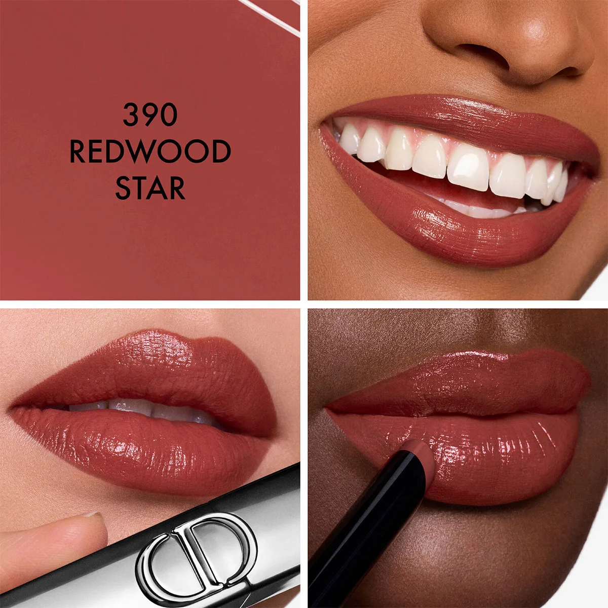 LABIAL EN BARRA DIOR ON STAGE ROUGE SHINE 390 REDWOOD STAR 2,2GR - 3