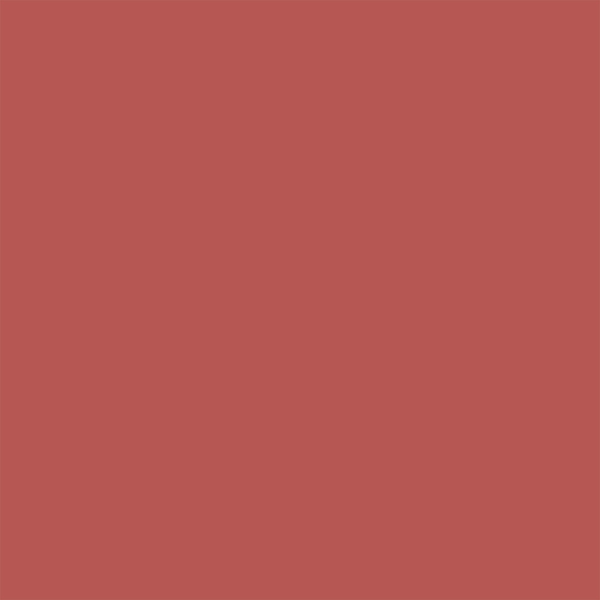LABIAL EN BARRA DIOR ON STAGE ROUGE SHINE 390 REDWOOD STAR 2,2GR - 9