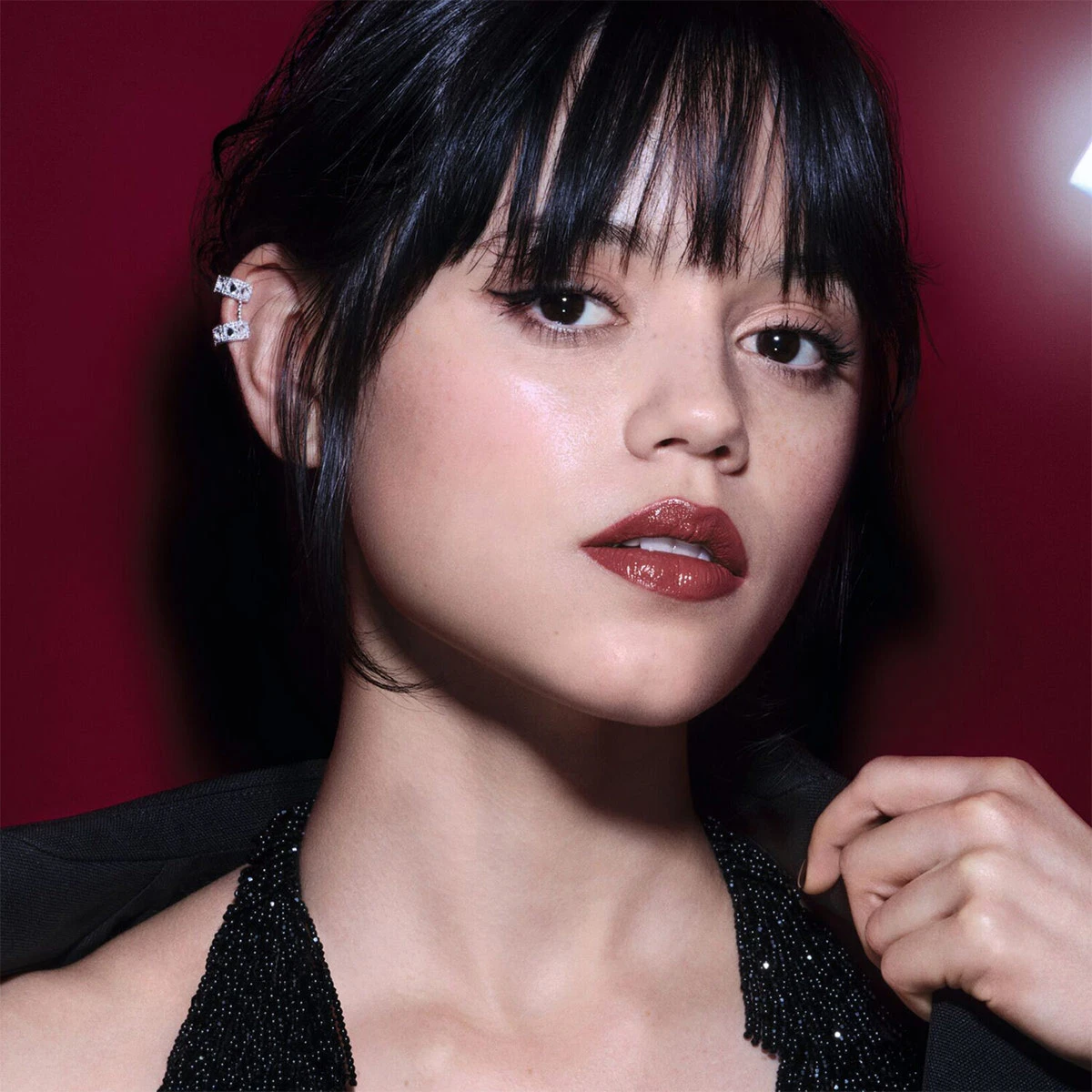 LABIAL EN BARRA DIOR ON STAGE ROUGE SHINE 425 WILD ROSEWOOD 2,2GR - 8