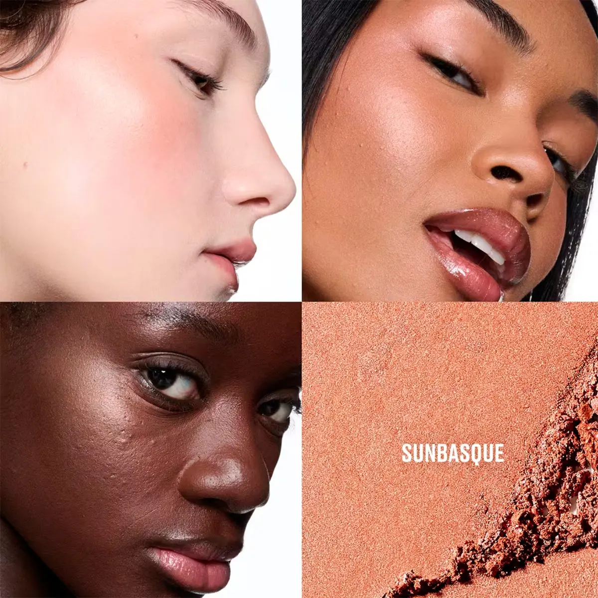 RUBOR MAC SKINFINISH COLOURSTRUCK - SUNBASQUE - 3