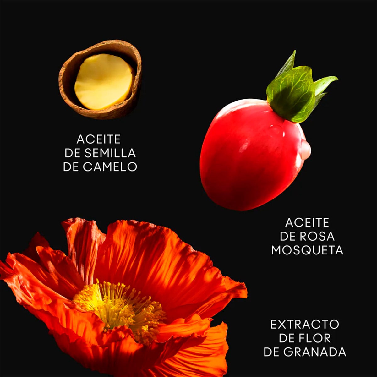SET TOTAL LOOK MAC - 4