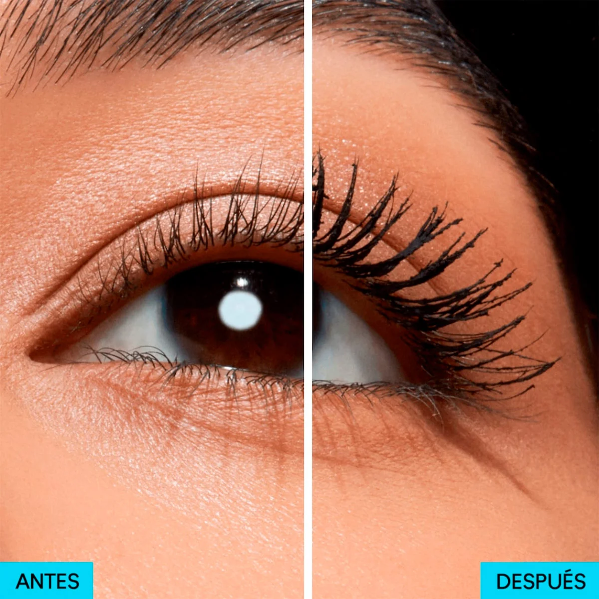 SET TOTAL LOOK MAC - 5
