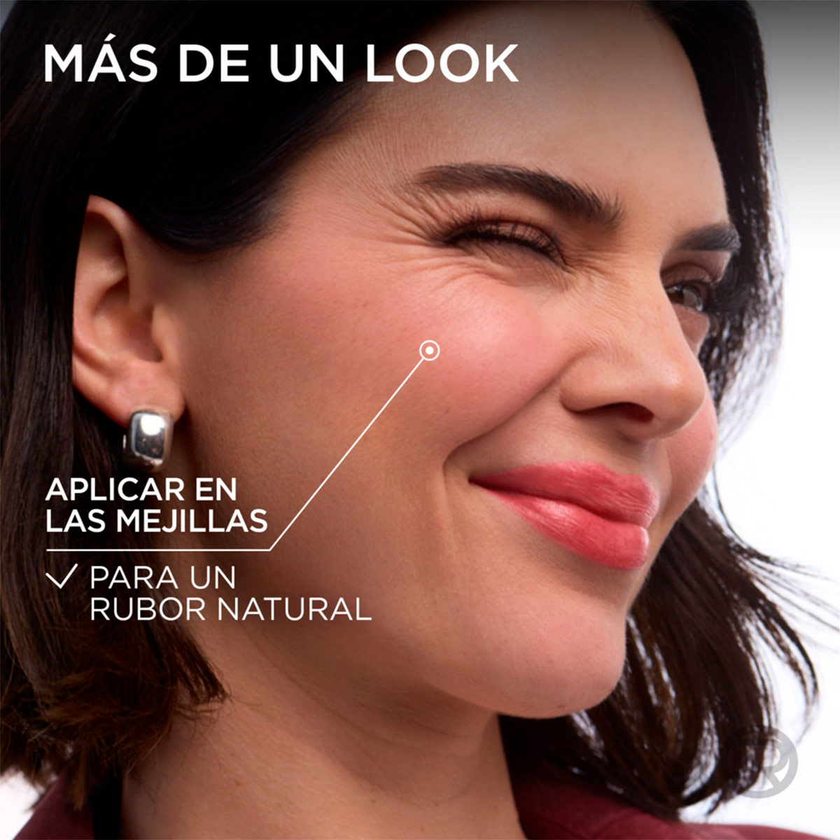 LABIAL LOREAL HYALURON TINT SMOKEY MAUVE - 6