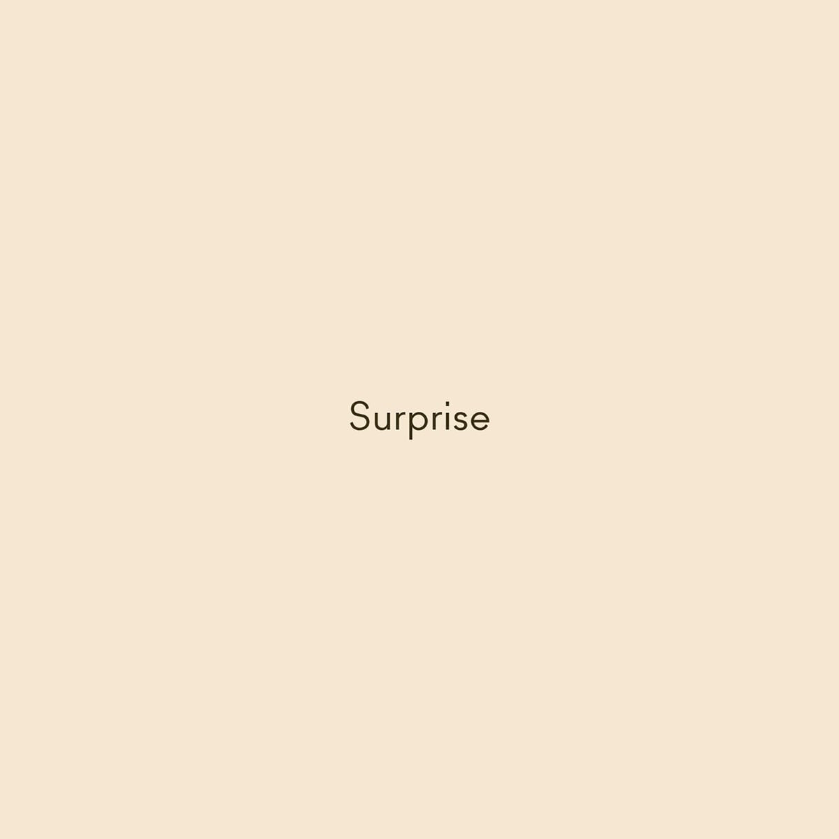 LABIAL MAC LUSTERGLASS SHEER SHINE SURPRISE - 2