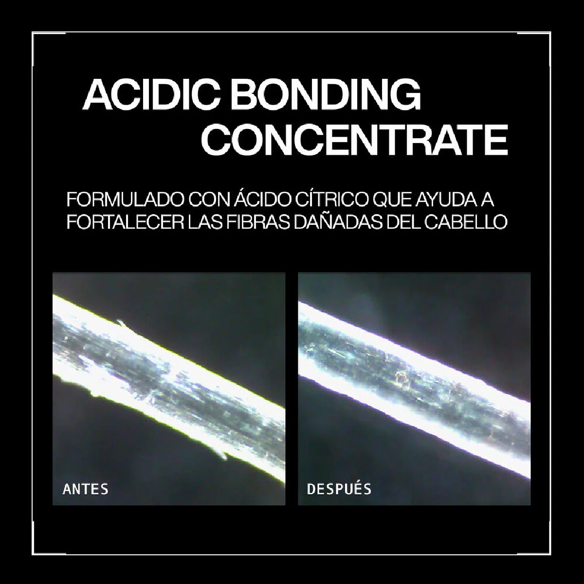 PACK REPARACIÓN REDKEN ACIDIC BONDING CONCENTRATE PREMIUM - 4
