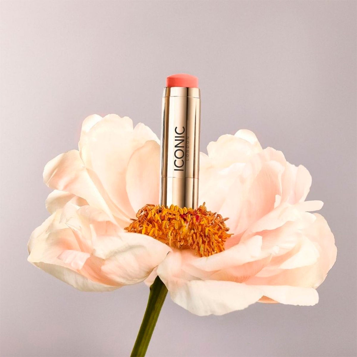 RUBOR ICONIC LONDON BLURRING BLUSH STICK - MIMOSA BLOOM - 5