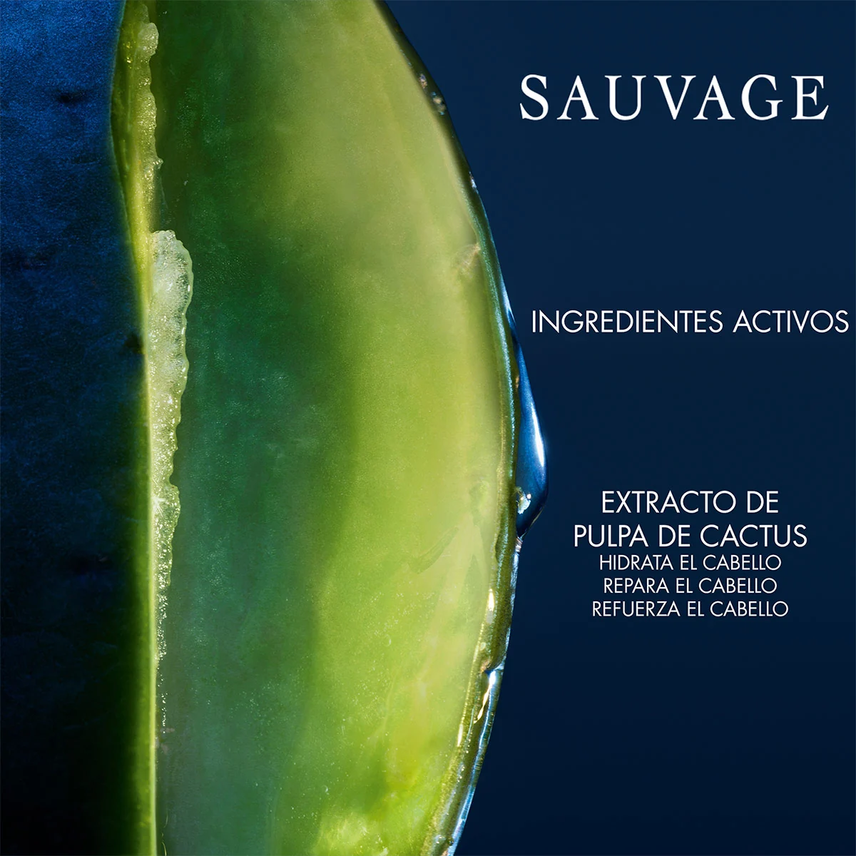 SHAMPOO HIDRATANTE DIOR SAUVAGE HOMBRE 250ML - 4