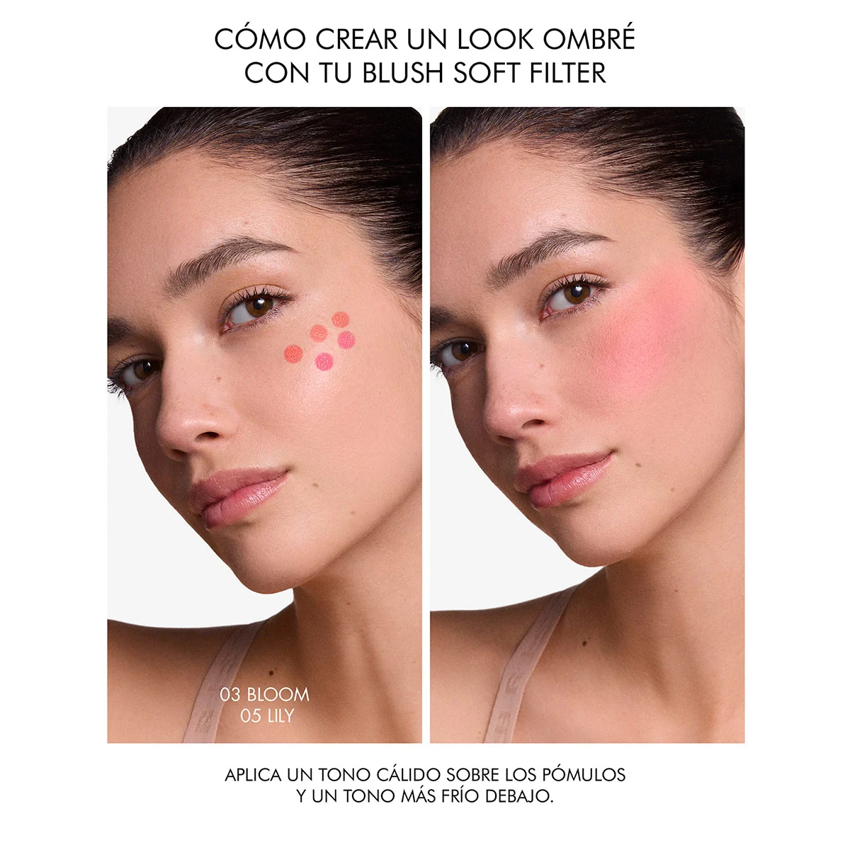 RUBOR DIOR FOREVER BLUSH SOFT FILTER 03 BLOOM - 12
