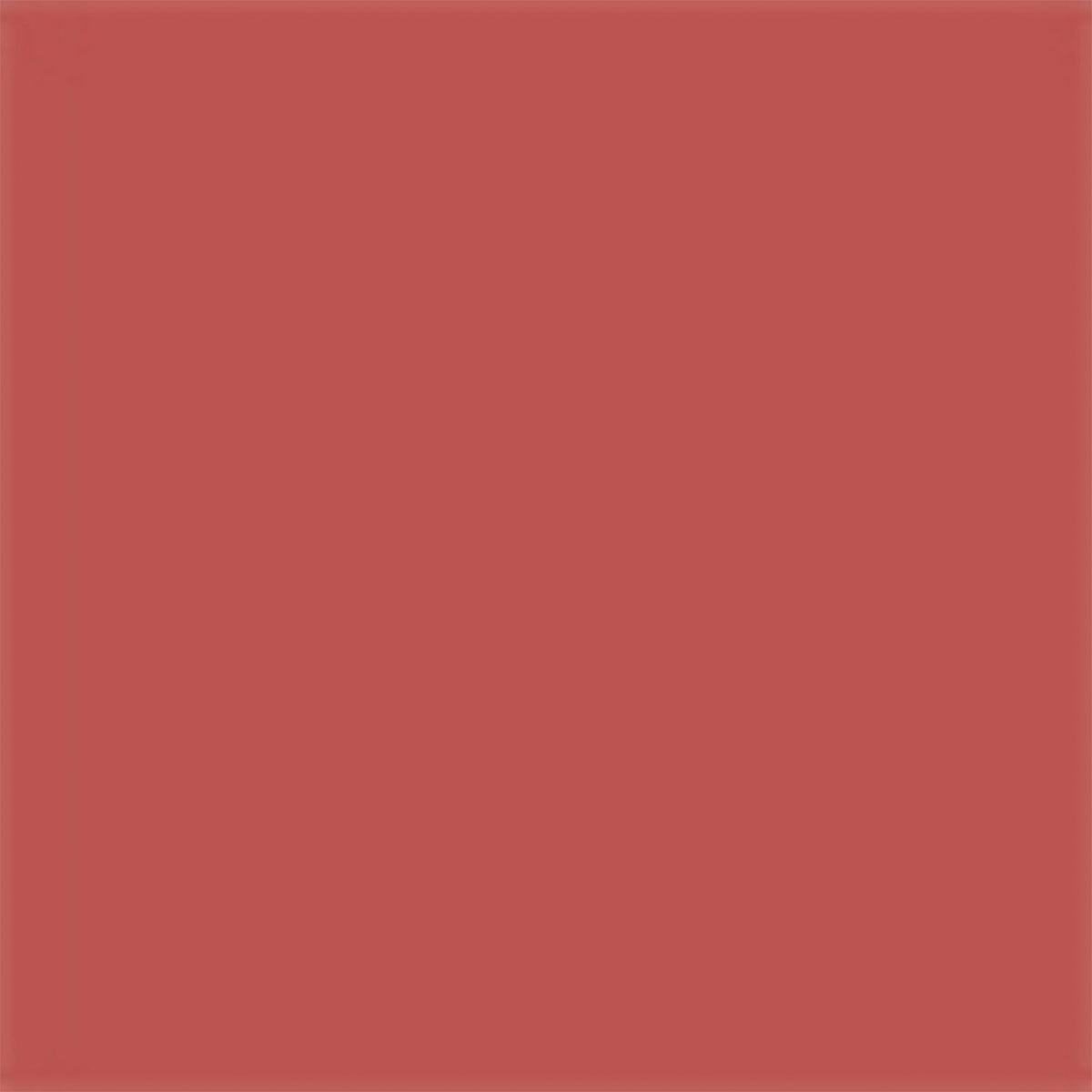 LABIAL LIQUIDO DIOR ON STAGE BLUR 217 DARE IN CORAL - 12