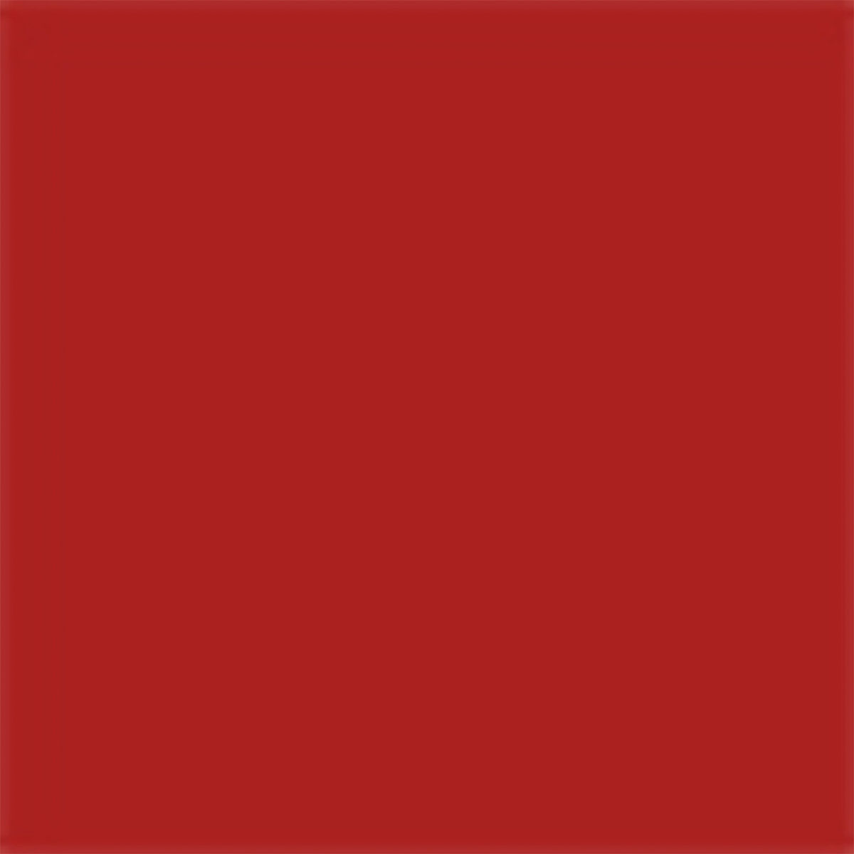 LABIAL LIQUIDO DIOR ON STAGE BLUR 861 BOLD IN RED - 12