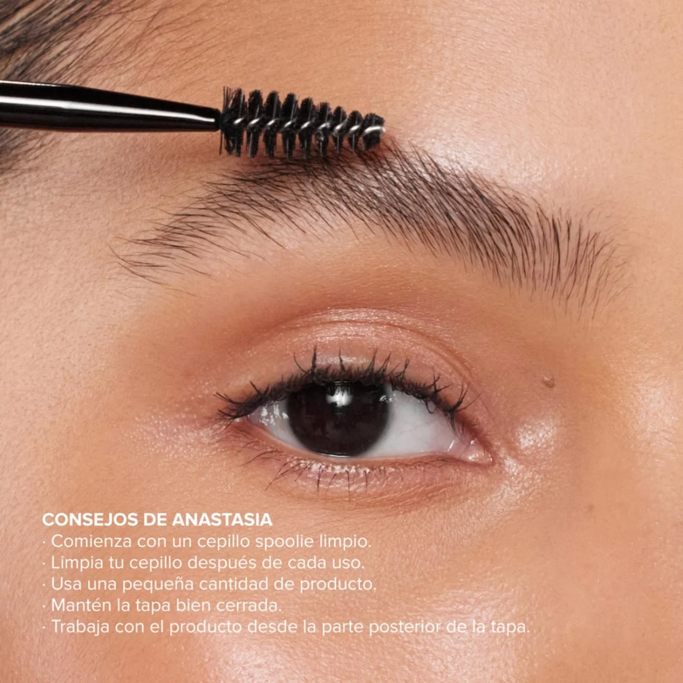 CERA CEJAS ANASTASIA BEVERLY HILLS BROW FREEZE - 3