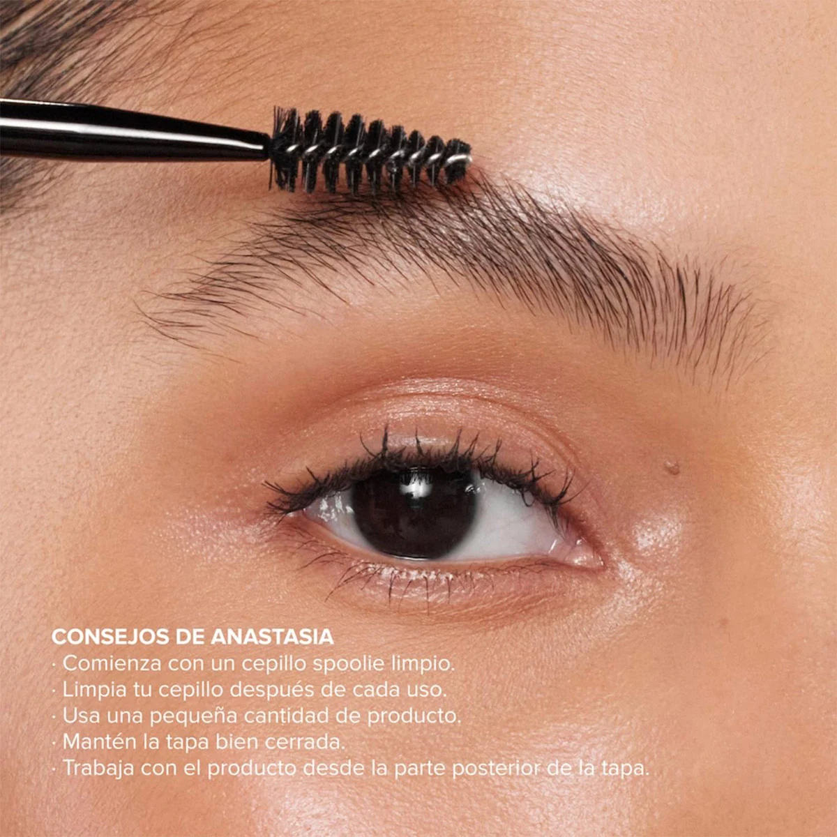 CERA CEJAS ANASTASIA BEVERLY HILLS BROW FREEZE MINI - 3