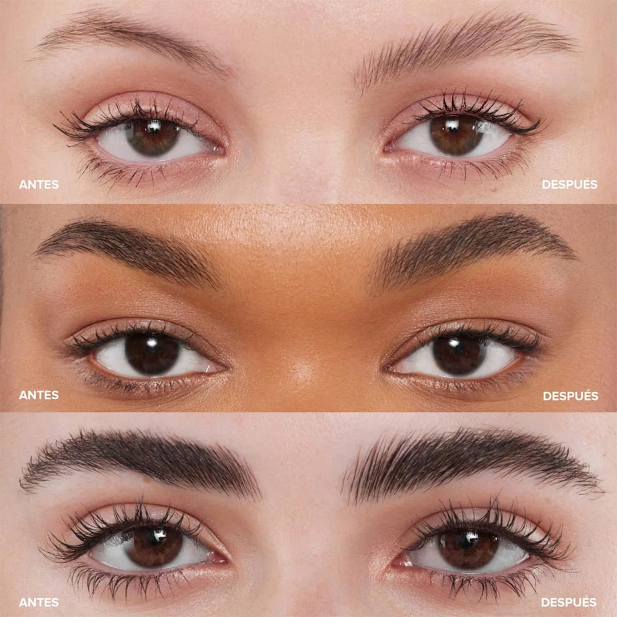 CERA CEJAS ANASTASIA BEVERLY HILLS BROW FREEZE MINI - 5