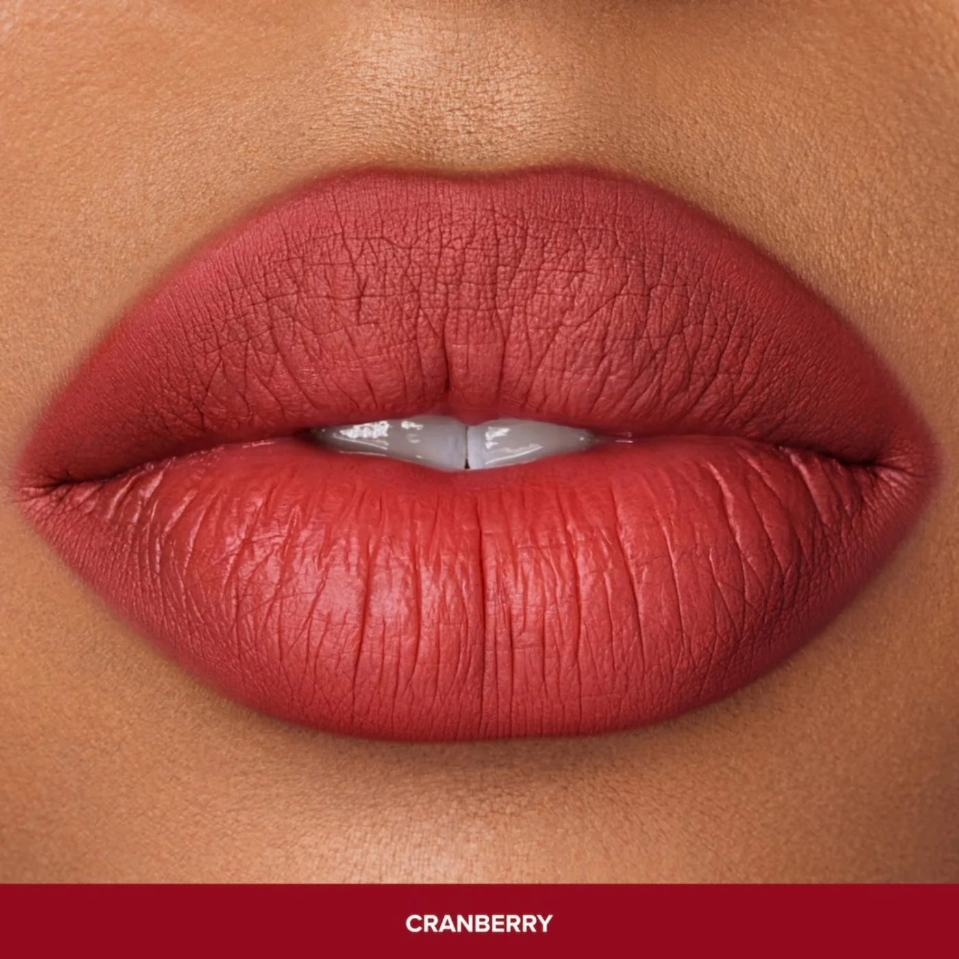 GLOSS ANASTASIA BEVERLY HILLS CRANBERRY - 3