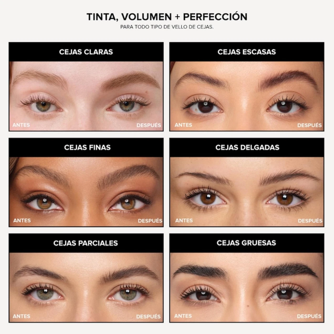 TINTA CEJAS ANASTASIA BEVERLY HILLS VOLUMIZING DARK BROWN - 4