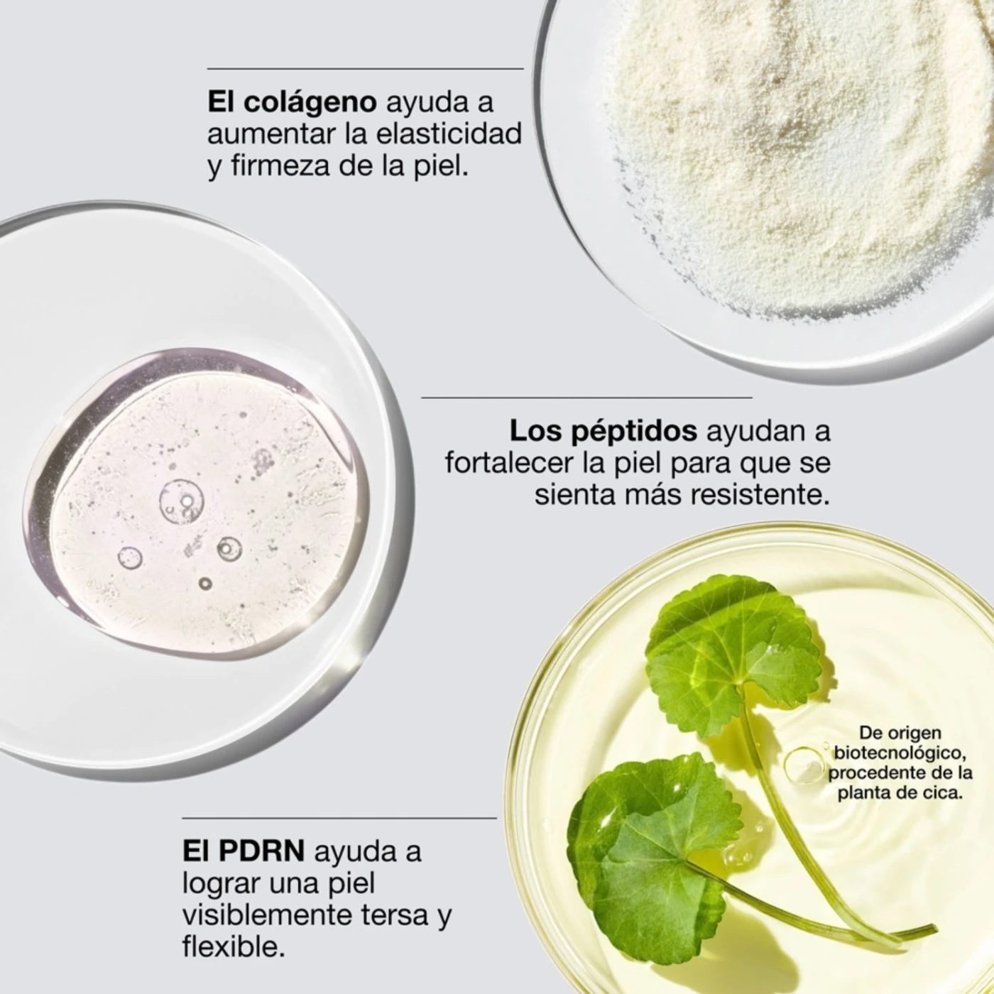 CREMA HIDRATANTE FACIAL CLINIQUE SMART CLINICAL REPAIR COLLAGEN + PDRN - 5