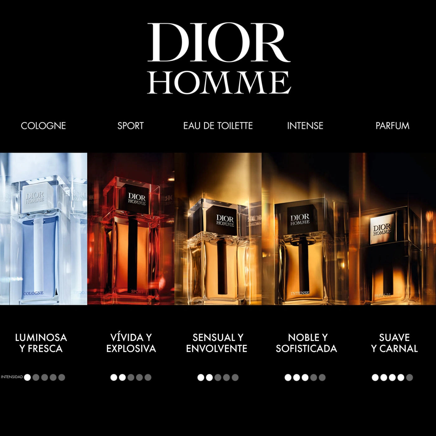 DIOR HOMME INTENSE EAU DE PARFUM 50ML - 5