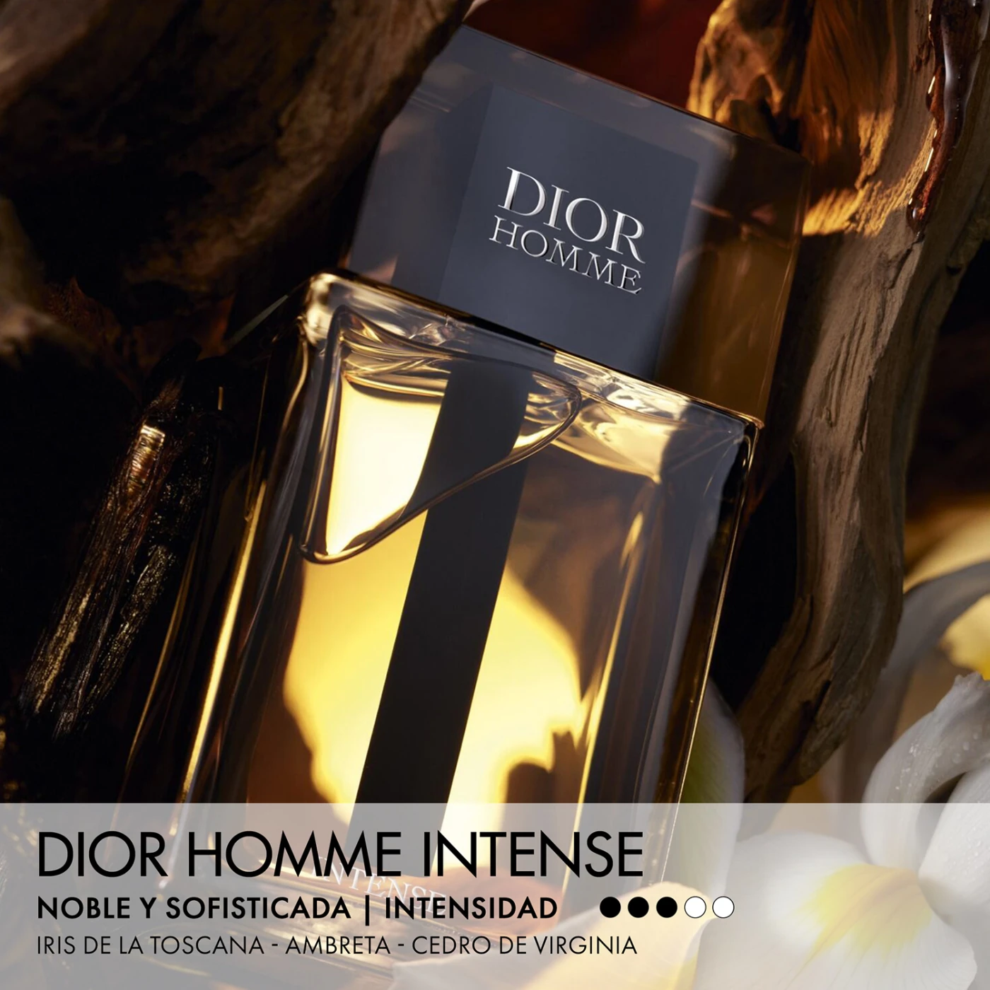DIOR HOMME INTENSE EAU DE PARFUM 100ML - 3