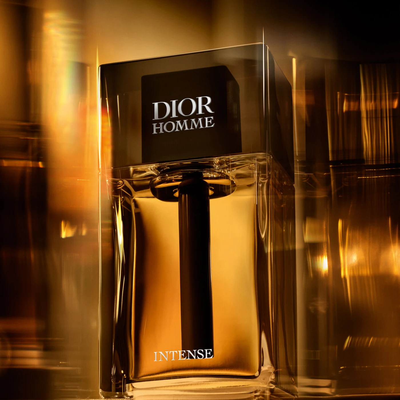 DIOR HOMME INTENSE EAU DE PARFUM 100ML - 6