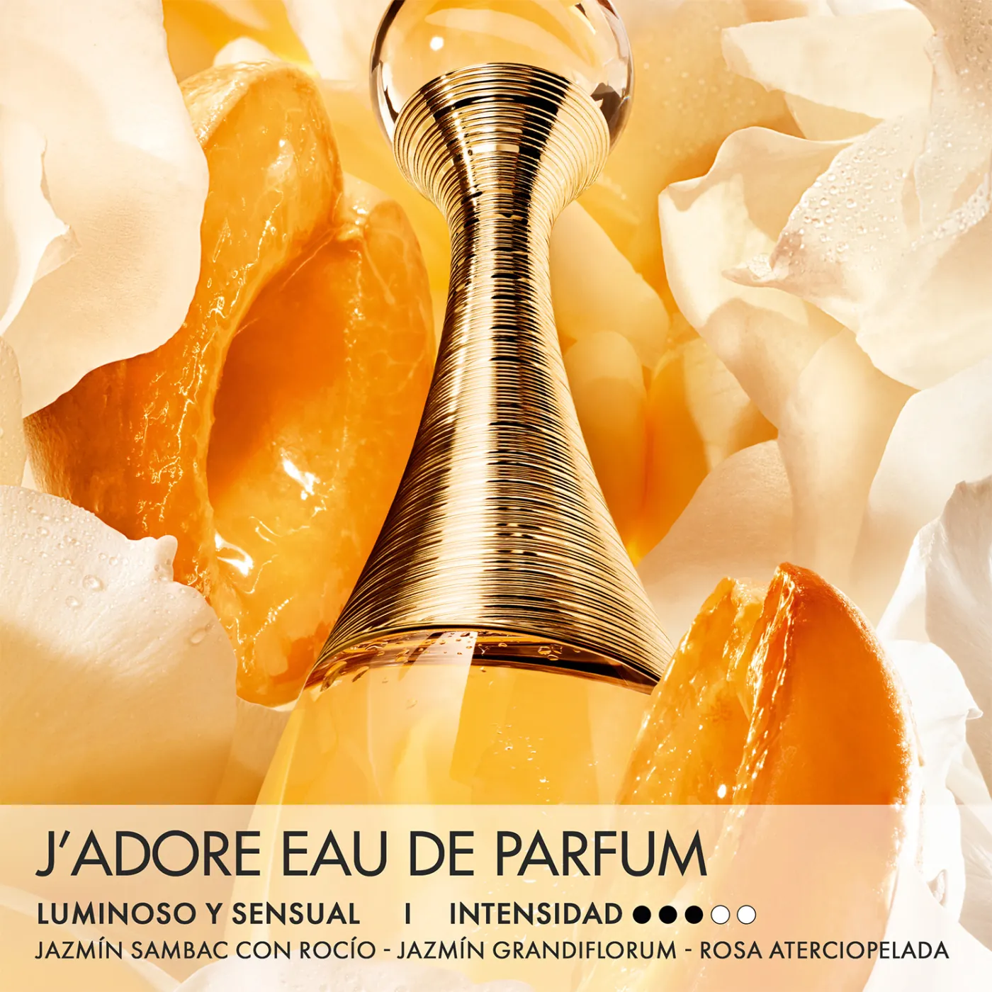 DIOR J’ADORE EAU DE PARFUM 100ML - 3