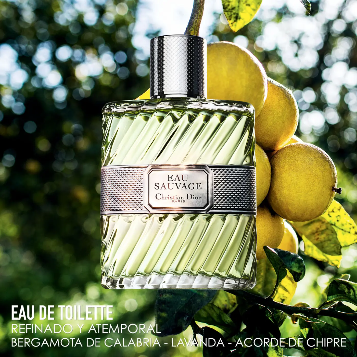 PERFUME DIOR SAUVAGE HOMBRE EDT 100 ML - 3