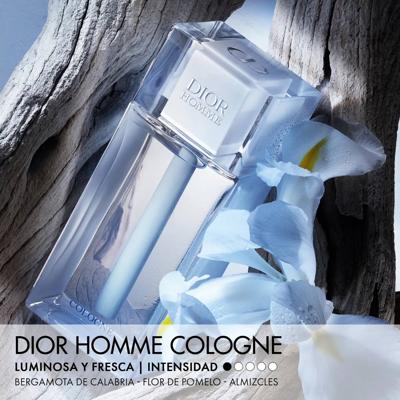 DIOR HOMME COLOGNE 125ML - 3