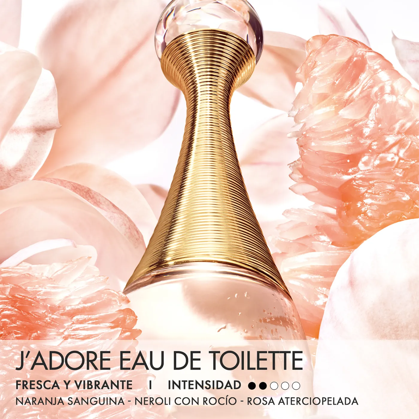 DIOR J’ADORE EAU DE TOILETTE 50ML - 3