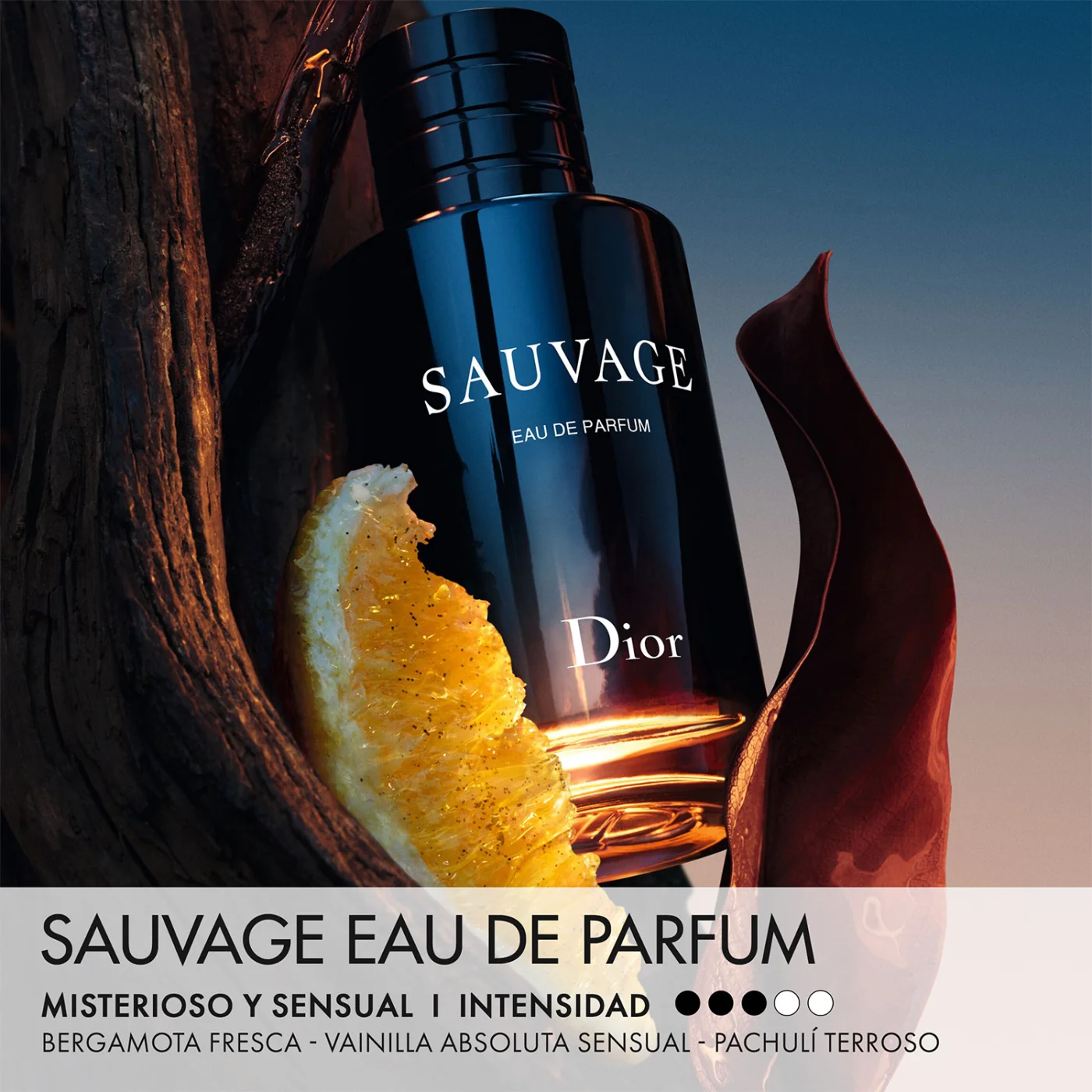DIOR SAUVAGE EAU DE PARFUM 60ML - 3