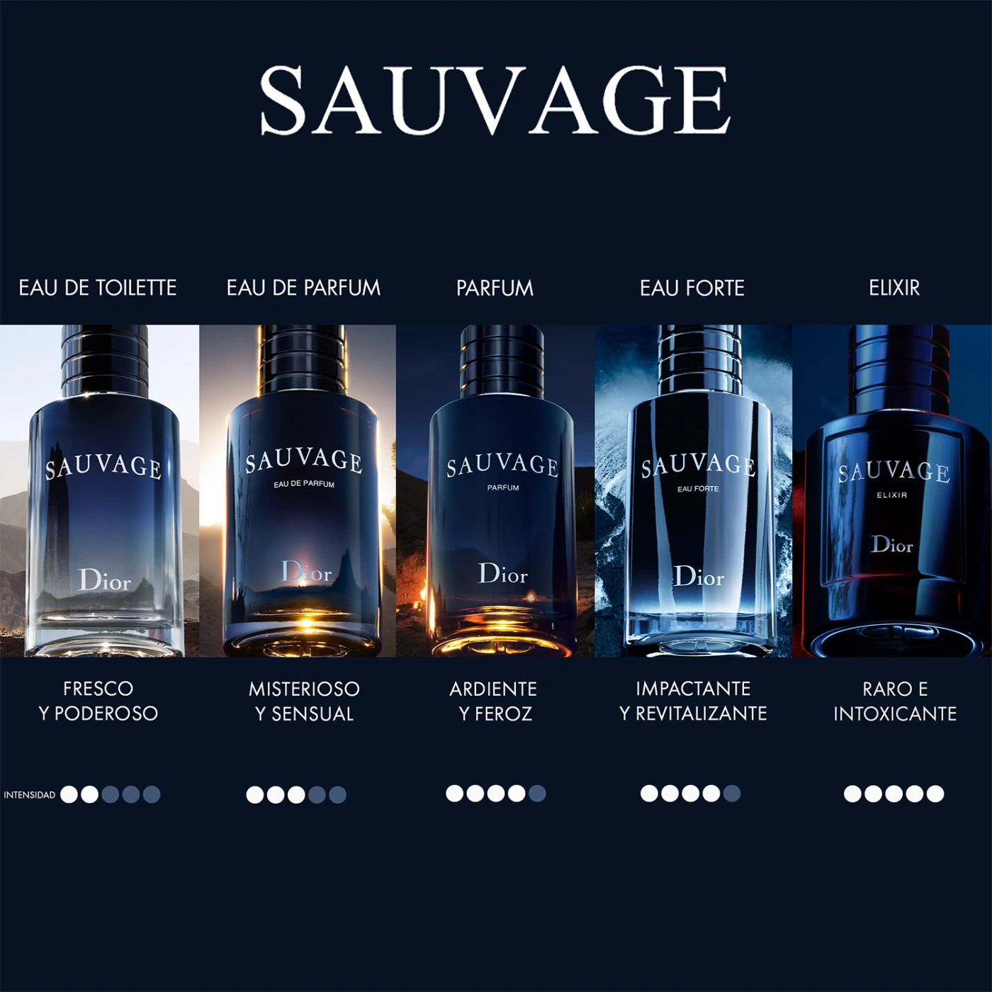DIOR SAUVAGE PARFUM 60ML - 5